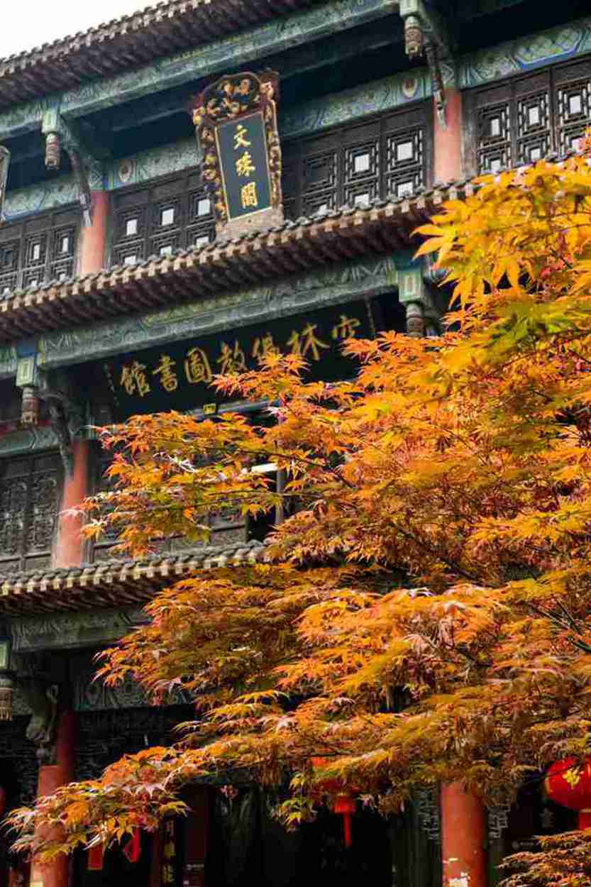 关于锦江游船复航的公告-第2张图片-四川省中国青年旅行社